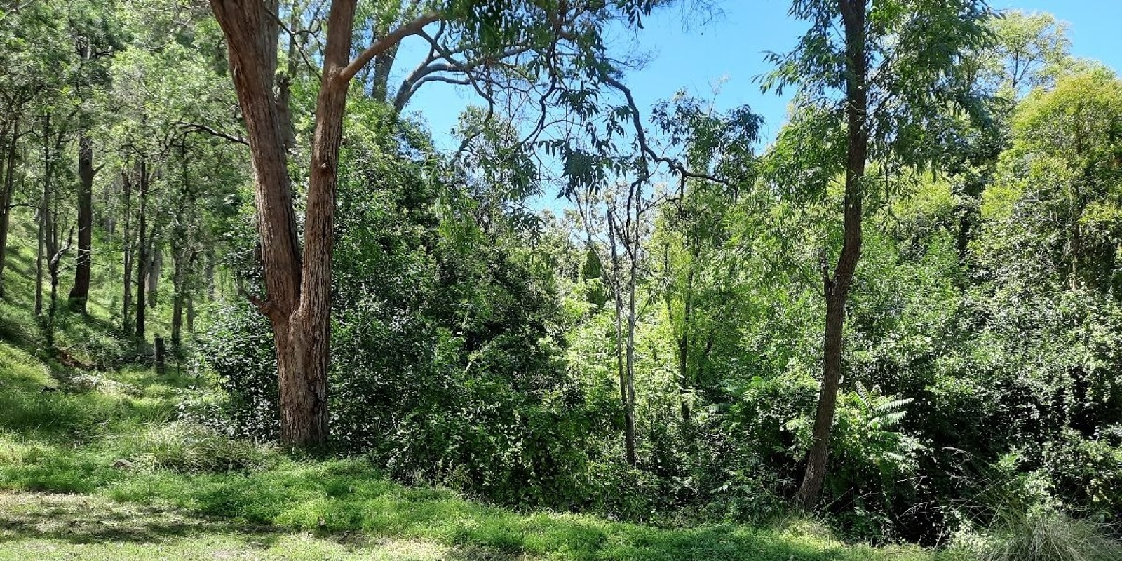 Banner image for Wollombi Valley new and old landholders workshop