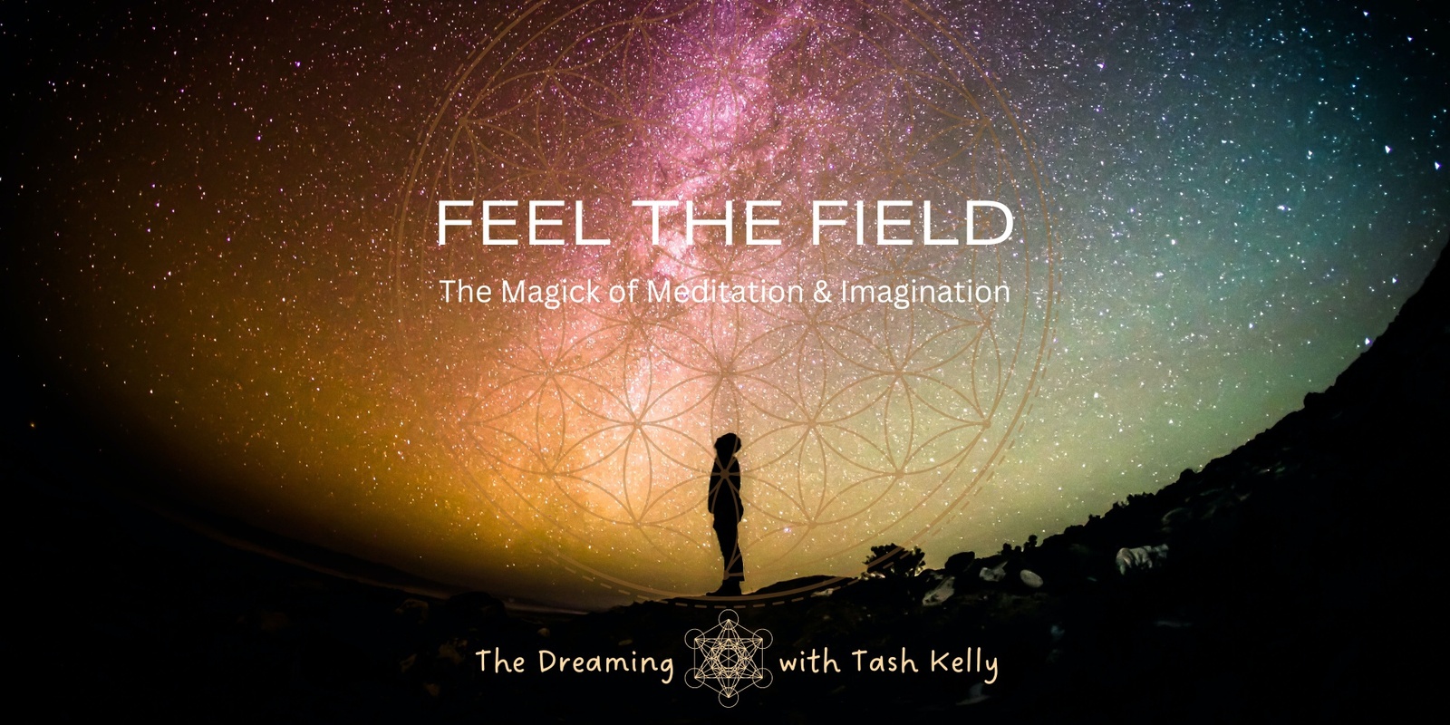 Banner image for Feel the Field 