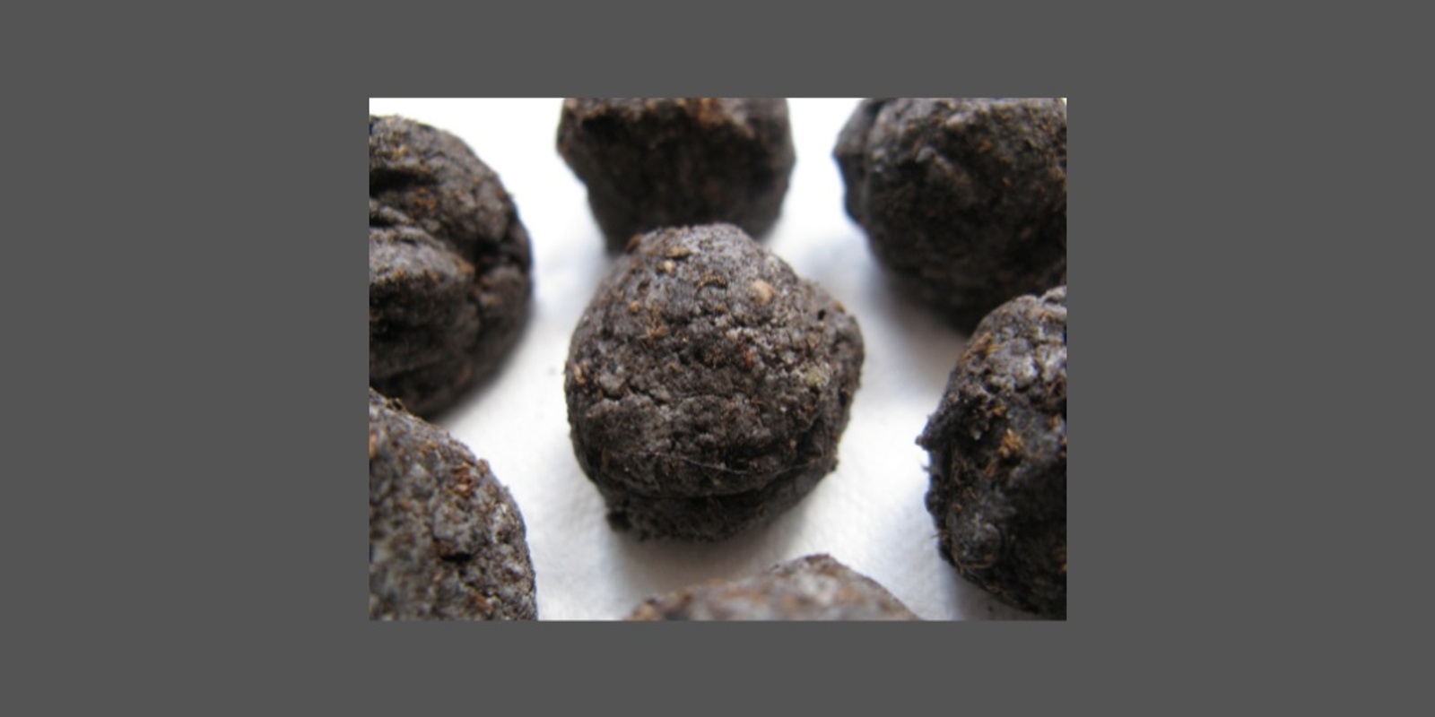 Banner image for Make Your Own Seed Balls