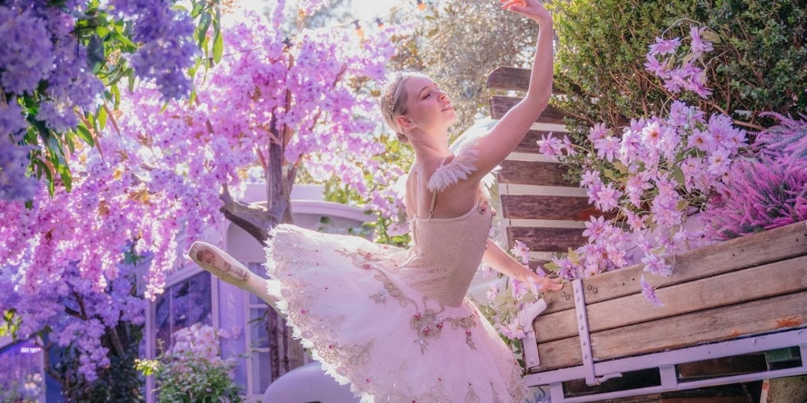 Banner image for Ballerinas in Bloom