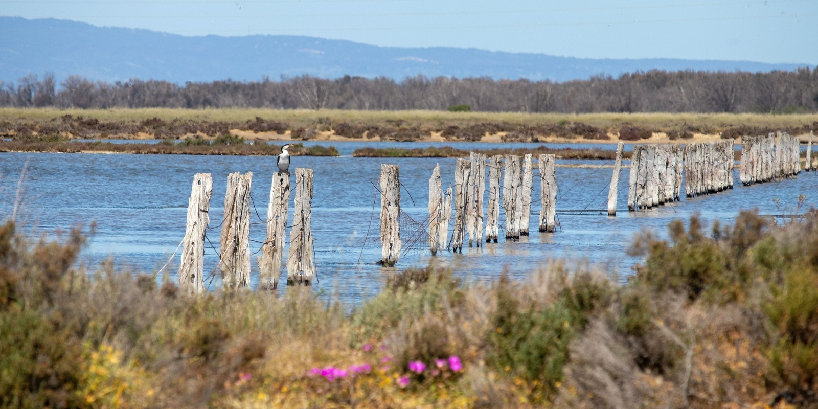 Banner image for Adelaide Plains Tourism Summit