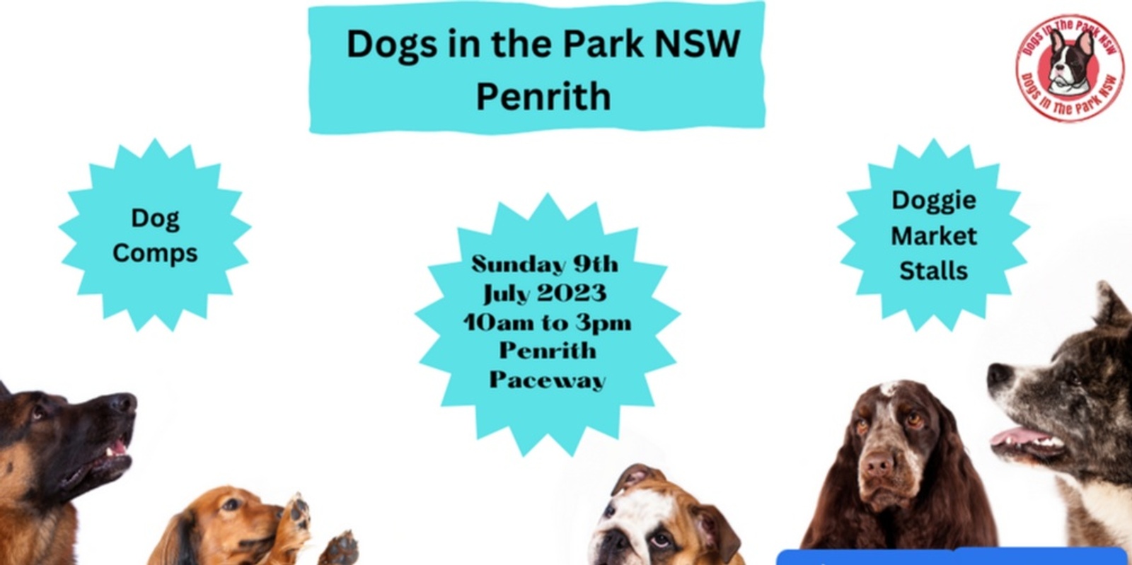 Dogs in the park NSW Penrith Humanitix