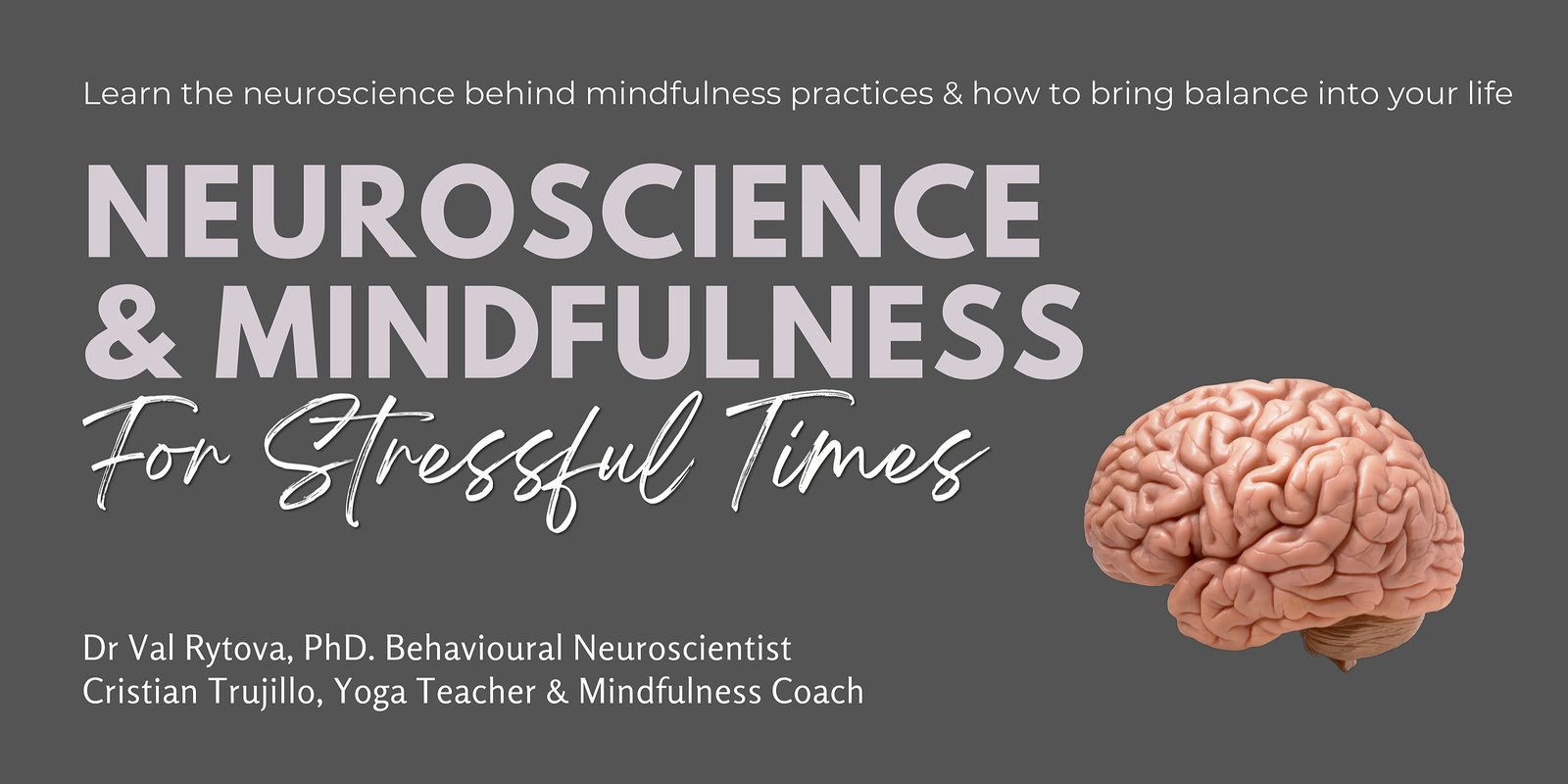 Banner image for Neuroscience & Mindfulness for Stressful Times