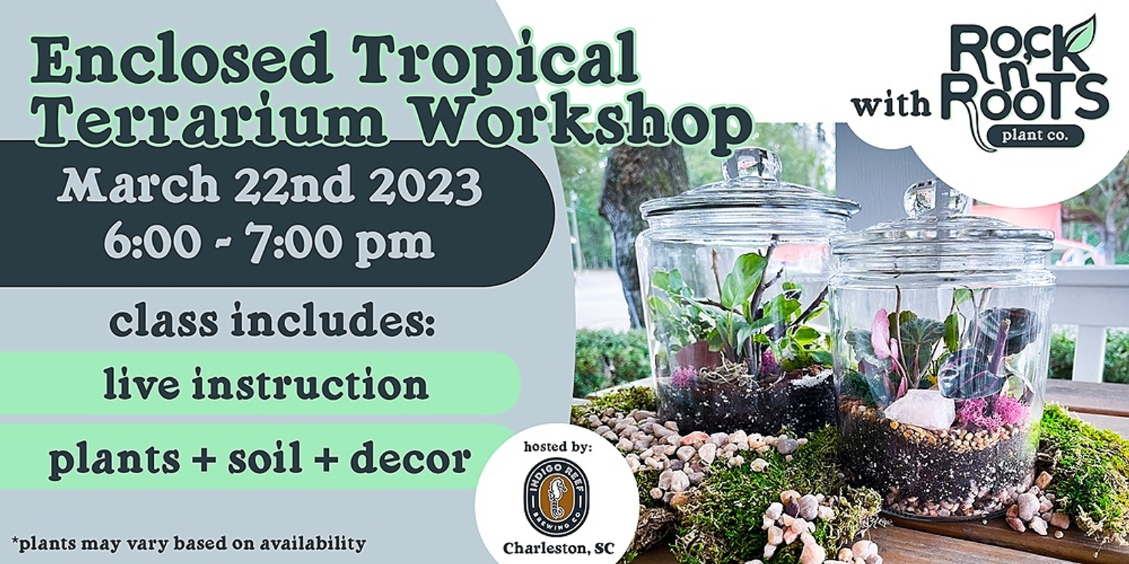 Banner image for Enclosed Tropical Terrarium Workshop at Indigo Reef Brewing (Charleston, SC)