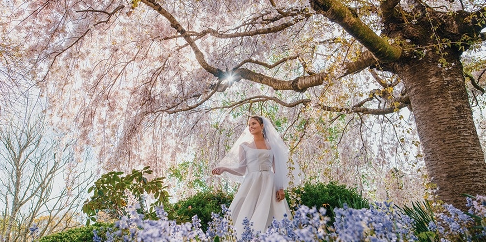 Banner image for Blue Mountains Botanic Garden Wedding Open Days - April & May 