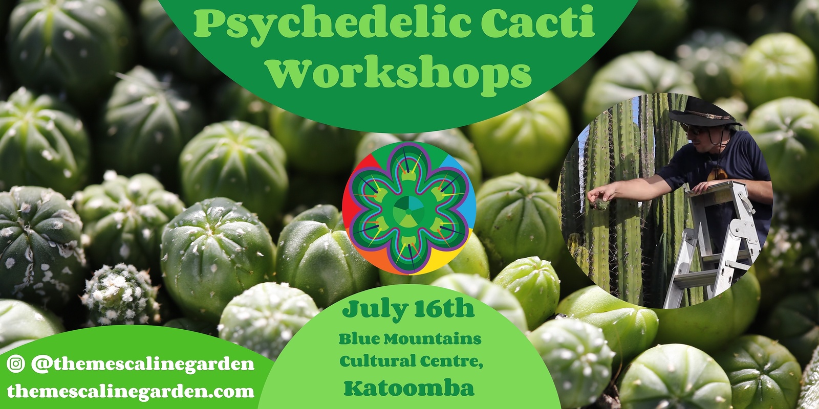 Banner image for Psychedelic cacti workshops, Katoomba