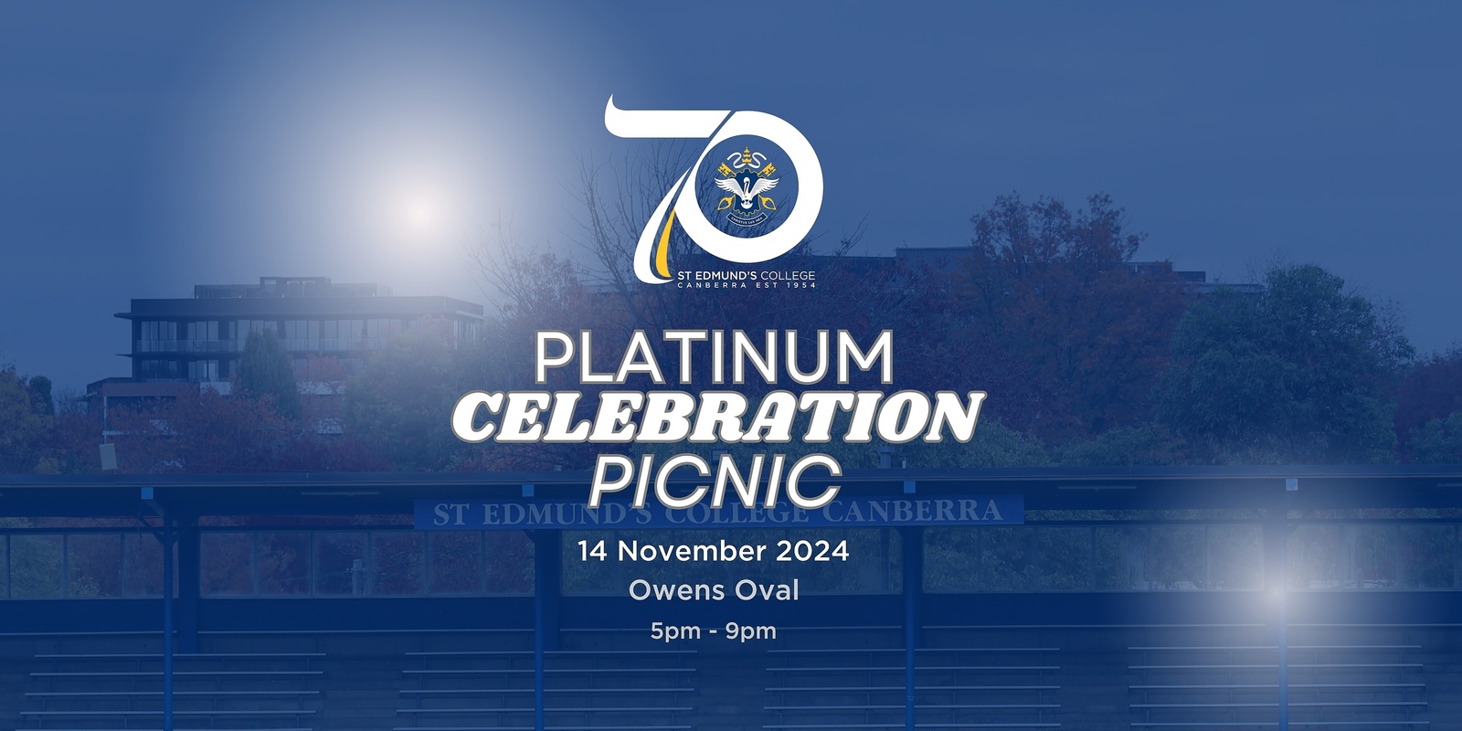 Banner image for Platinum Celebration Picnic