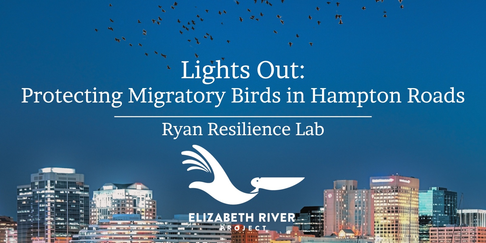 Banner image for Lights Out: Protecting Migratory Birds in Hampton Roads