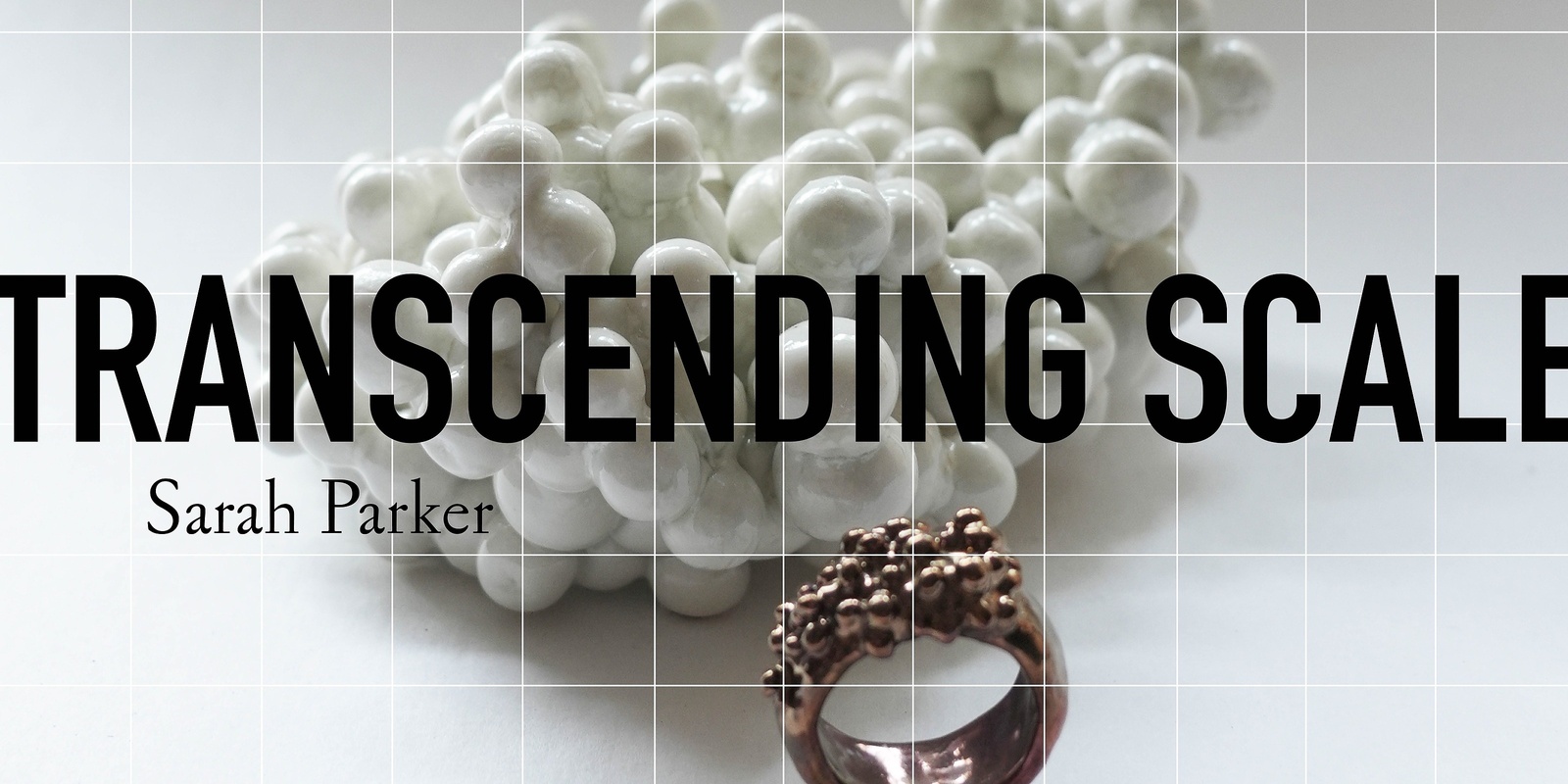 Banner image for Exhibition Opening: Transcending Scale | Sarah Parker