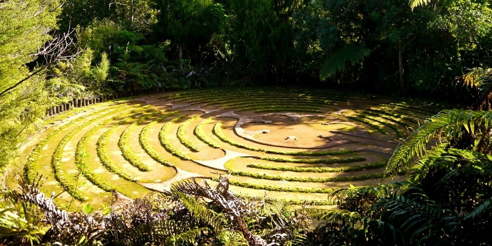 Banner image for Support Te Moata Retreat Centre: a live online meditation and Q&A with Gil Fronsdal