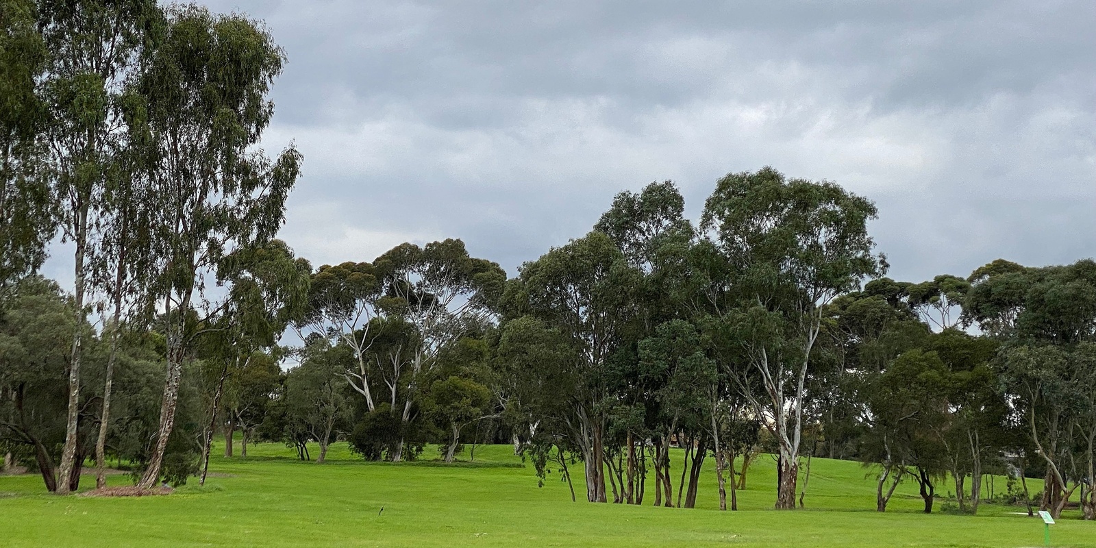 Banner image for A Stroll through Clarinda Parks: Bald Hill Park and Namatjira Park Grade 2 (Easy)