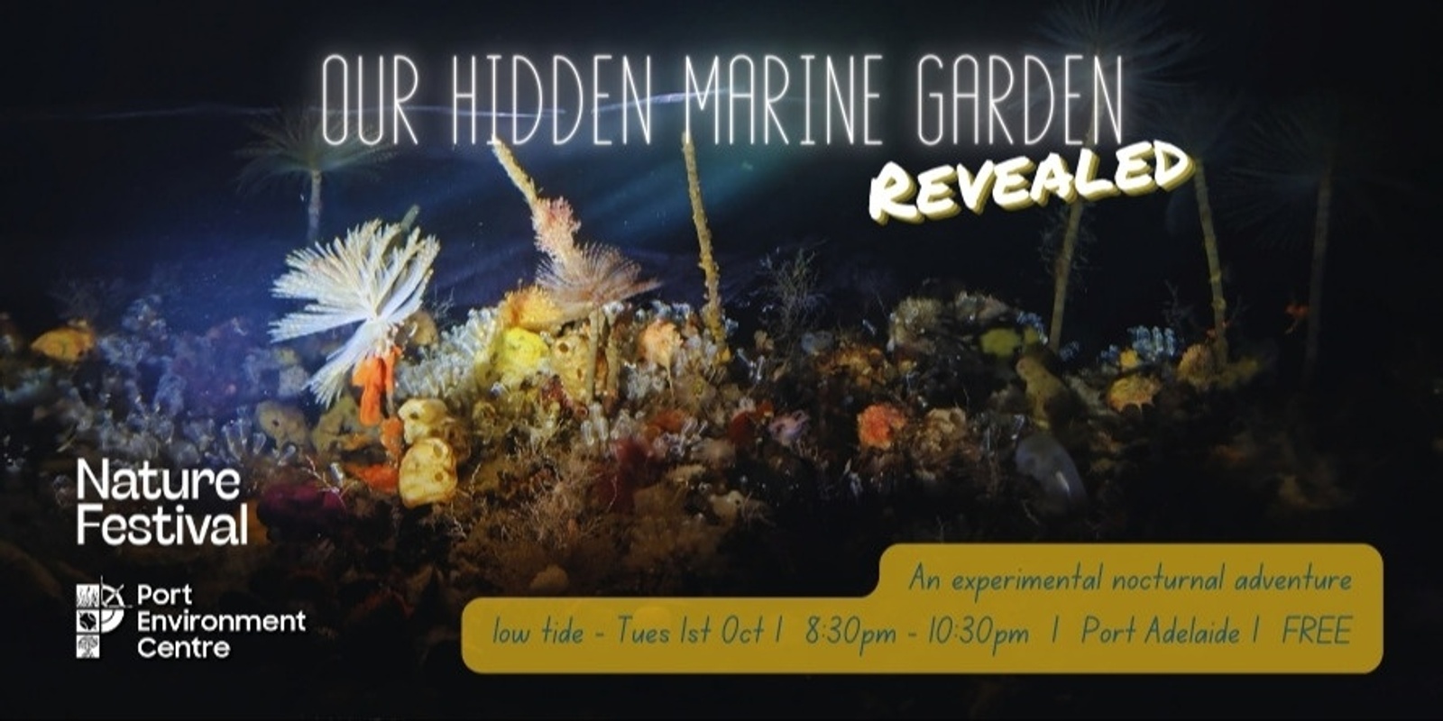 Banner image for Our Hidden Marine Garden Revealed