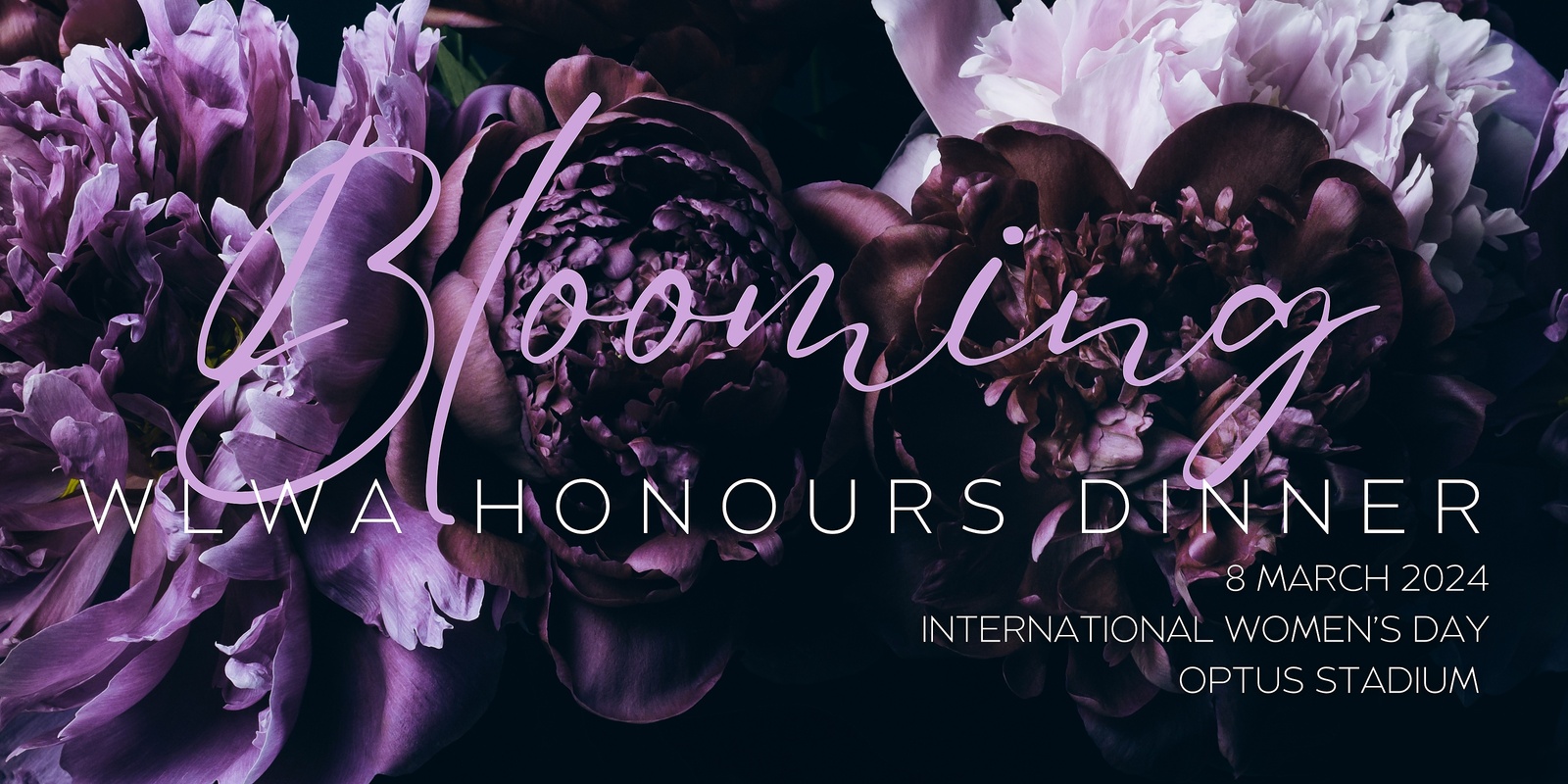 Banner image for 2024 WLWA Honours Gala Dinner 