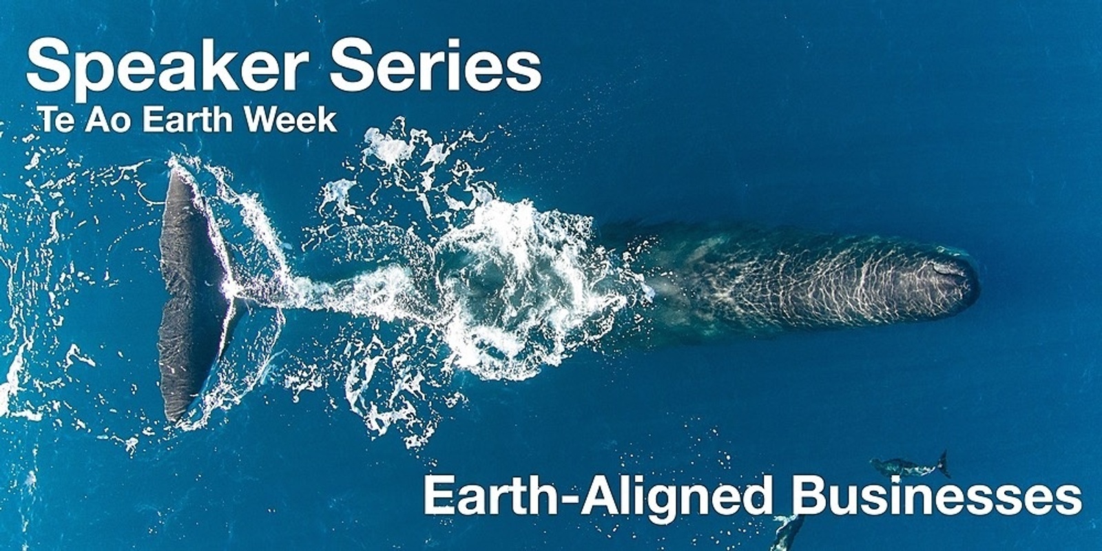 Banner image for Earth-Aligned Businesses - Speaker Series (Te Ao Earth Week)