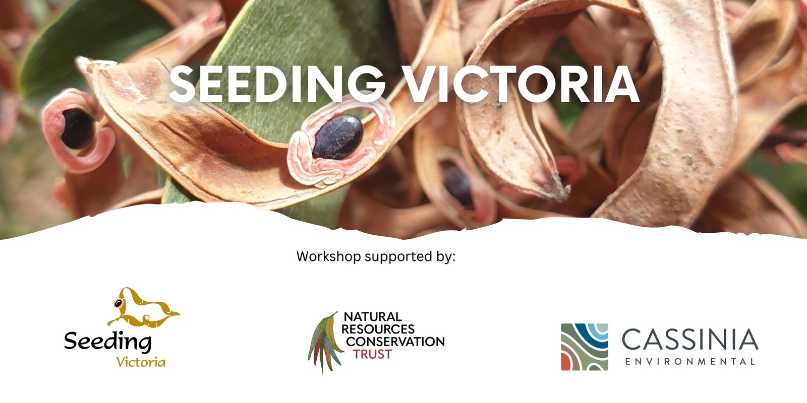 Banner image for Seed Collection Workshop - Creswick