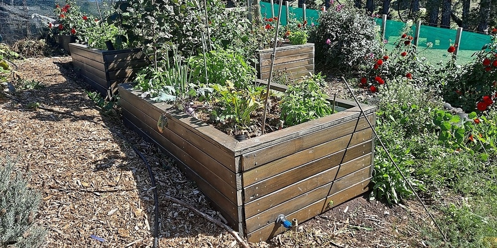 DIY Drought-Tolerant Garden Bed (Wicking Bed) Workshop