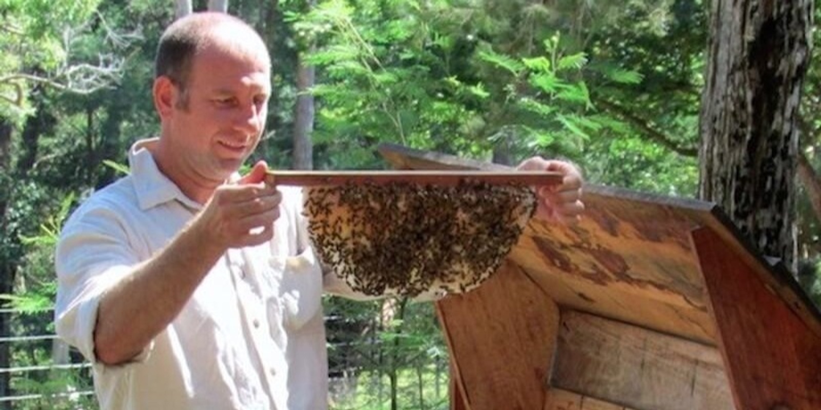 Banner image for Natural Beekeeping
