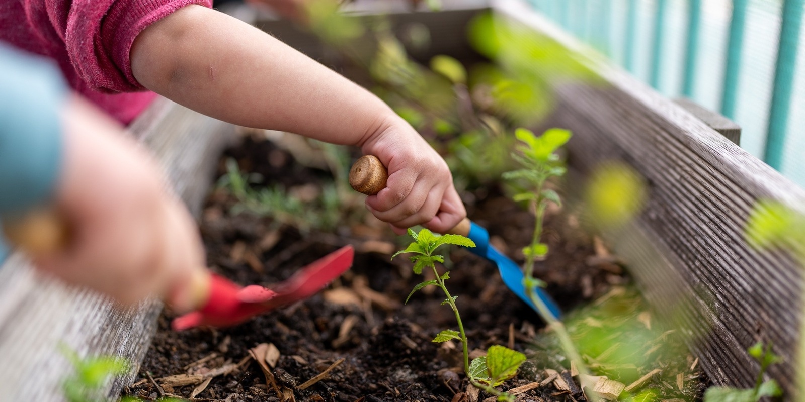 Banner image for Fitzroy Urban Agriculture Walk