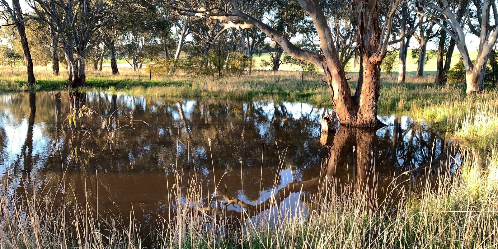 Banner image for Thurgoona Volunteer Morning