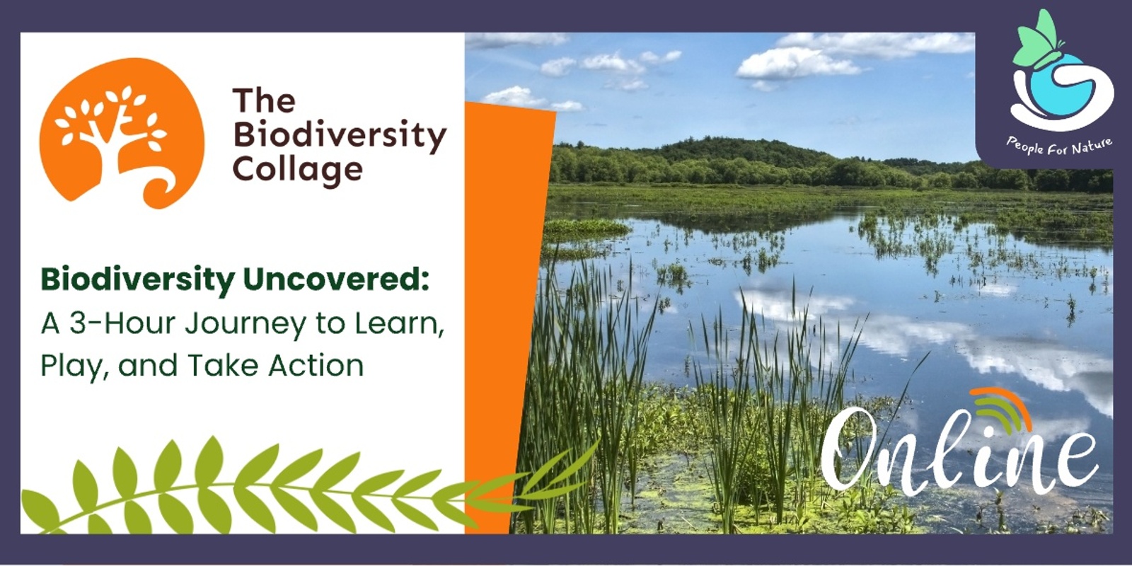 Banner image for Biodiversity Collage Online - World Habitat Day - October 2025