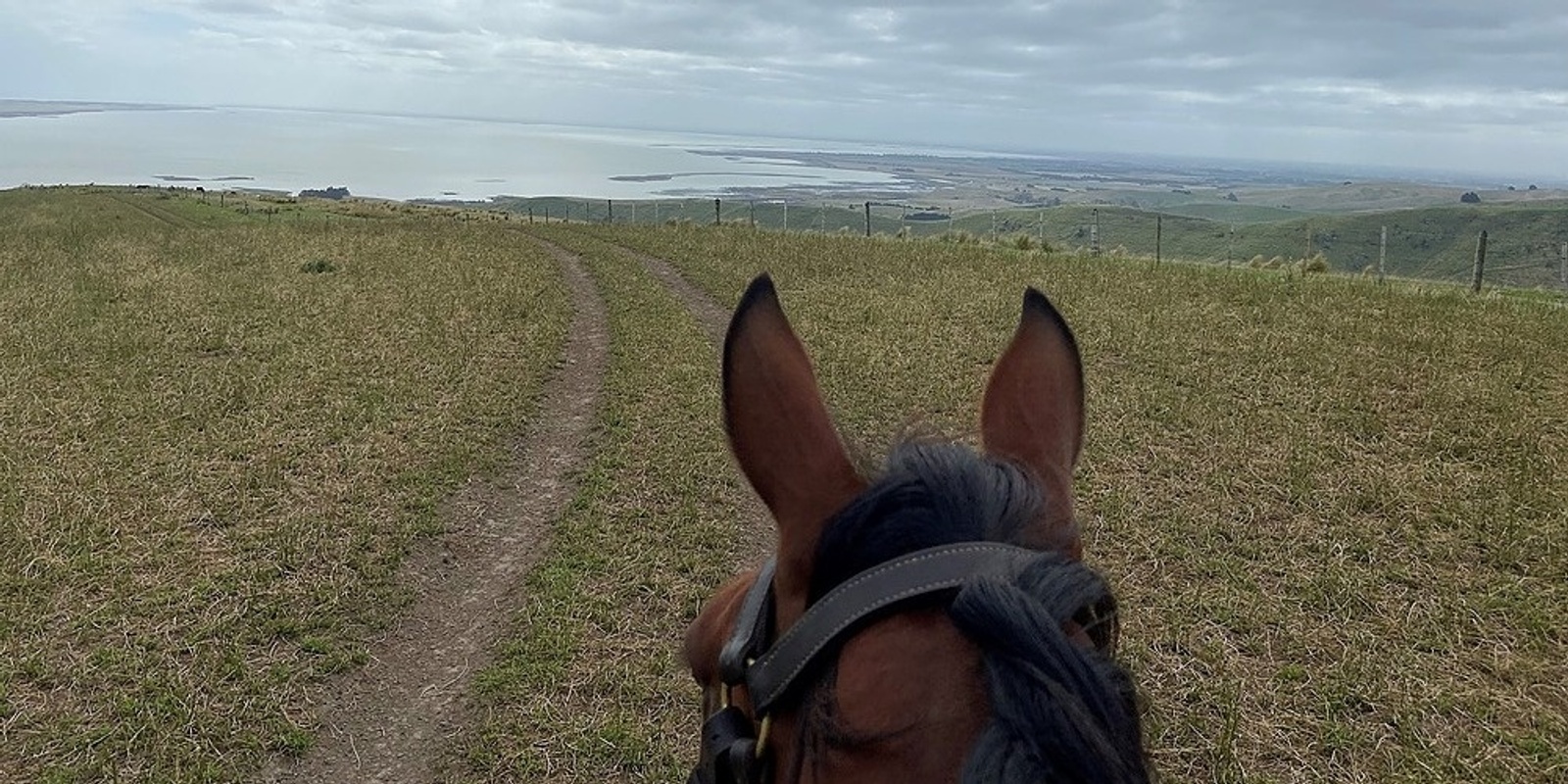 Banner image for Waihora Pony Club Fundraising Trek March 2022