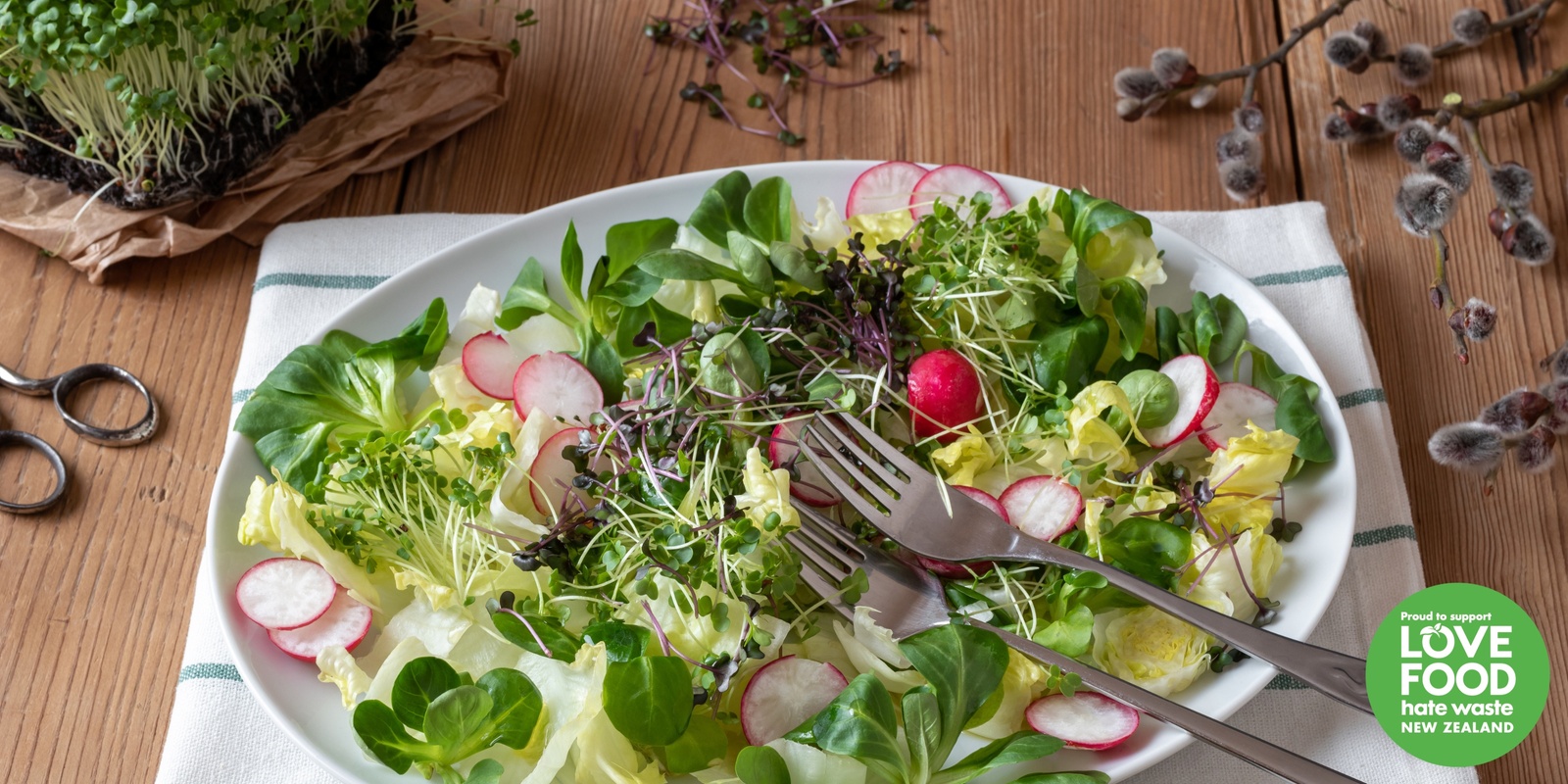 Banner image for Harvest & Feast: A Microgreens & Salad Growing Workshop