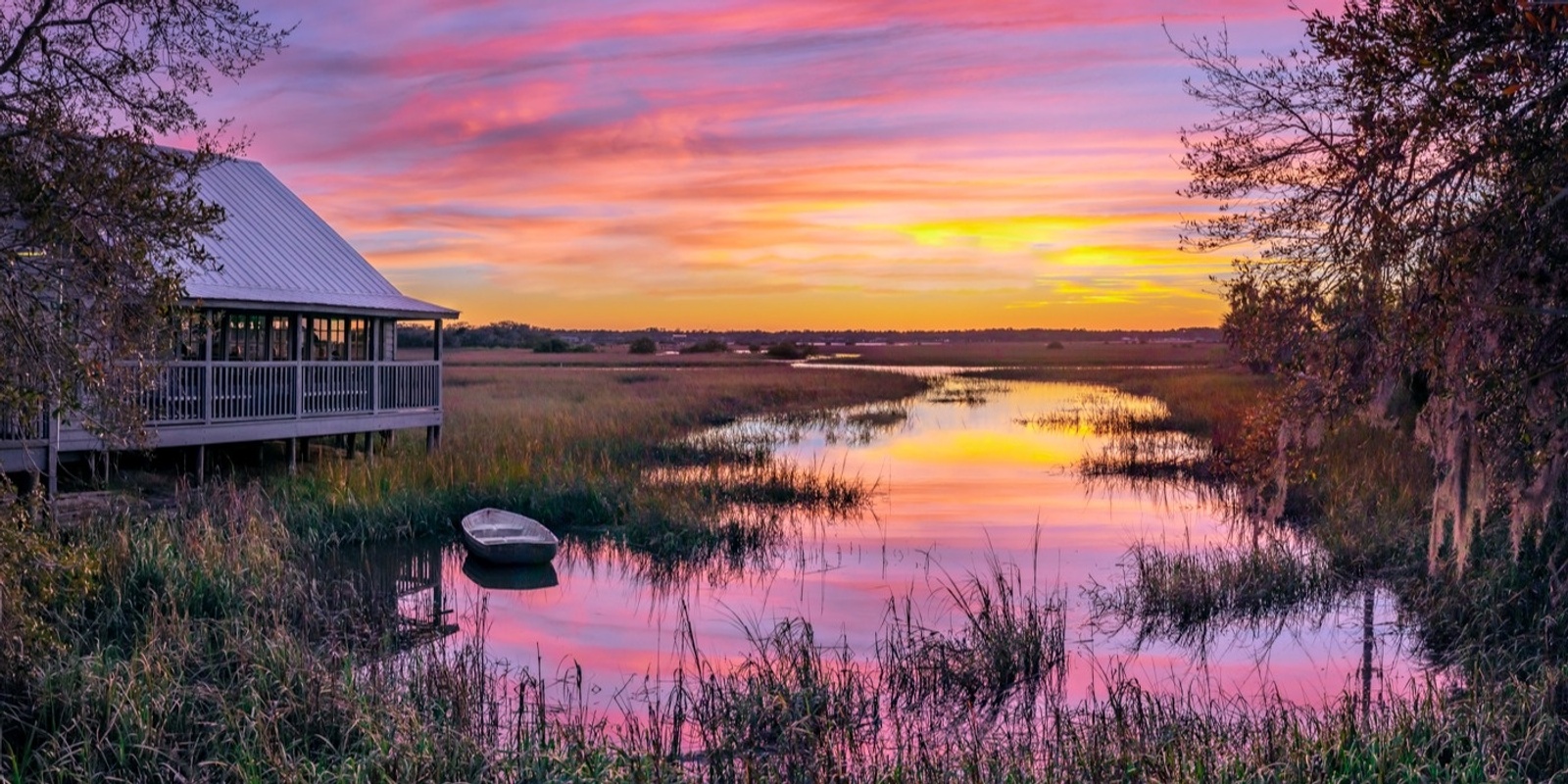 Banner image for Moonrise, Sunrise and Birds