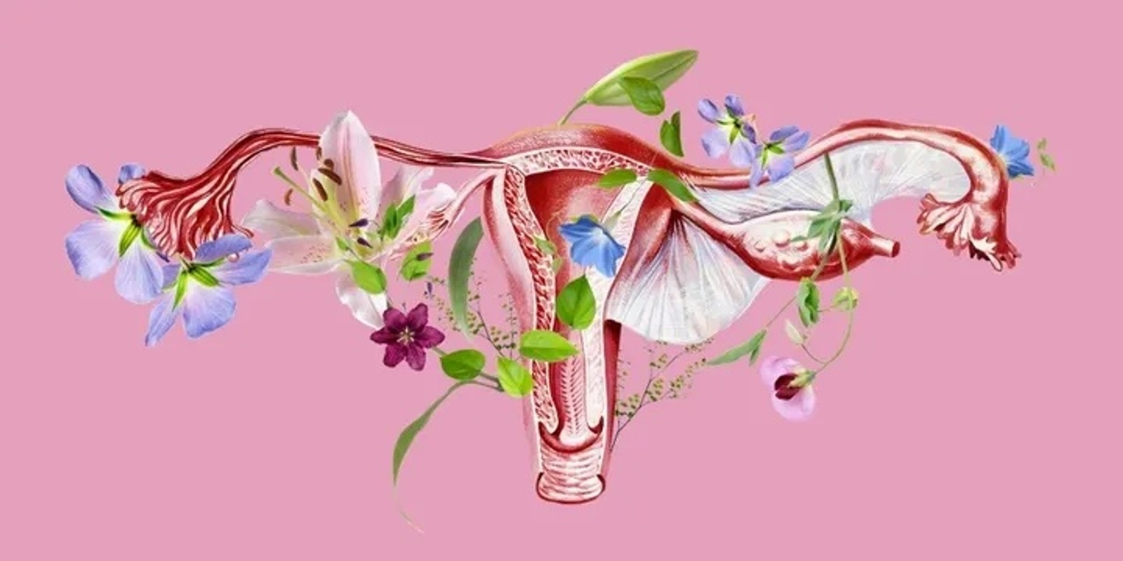 living-hormoniously-understanding-the-phases-of-the-menstrual-cycle-to