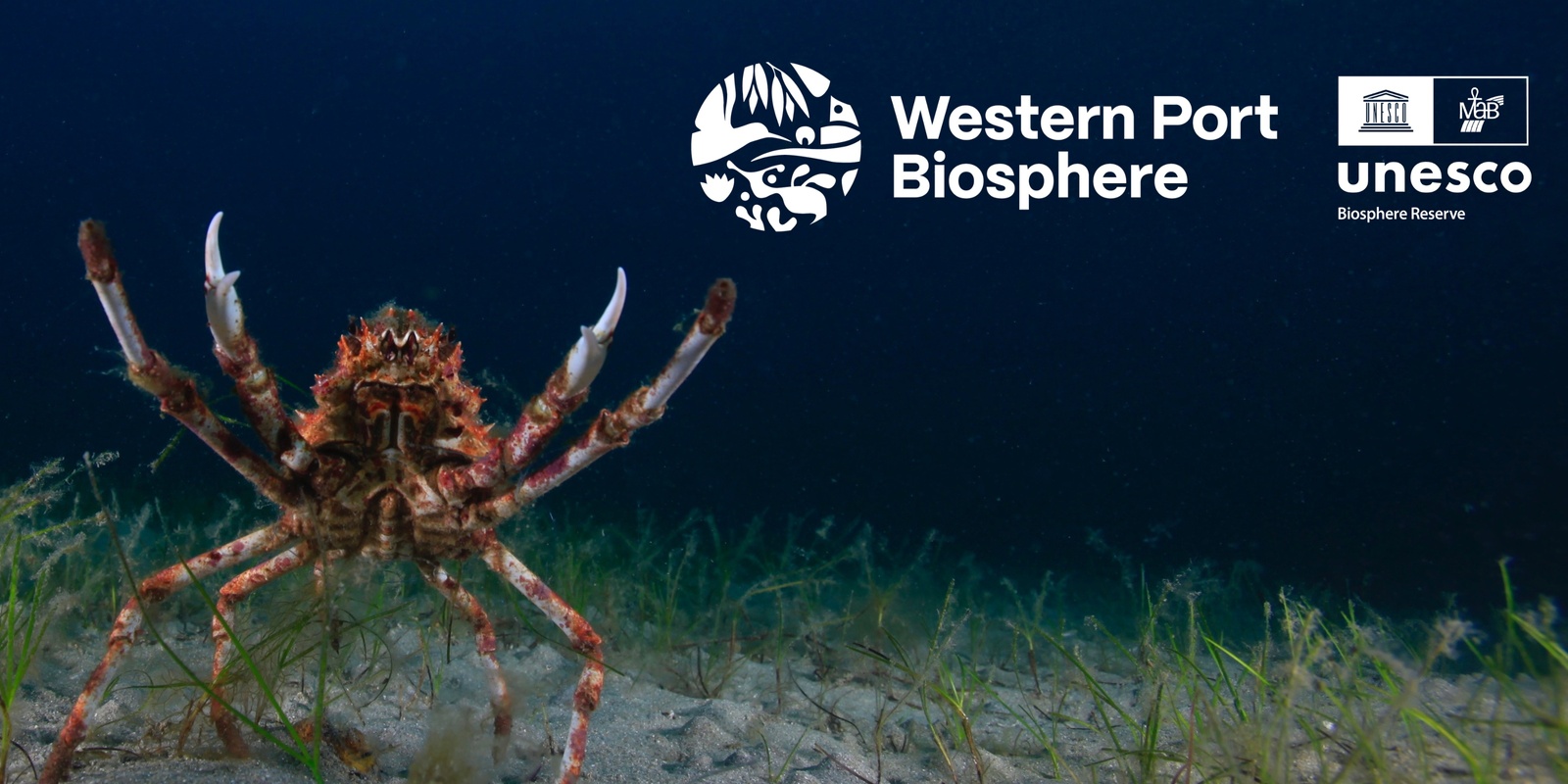 Banner image for Western Port Biosphere Foundation Annual General Meeting 