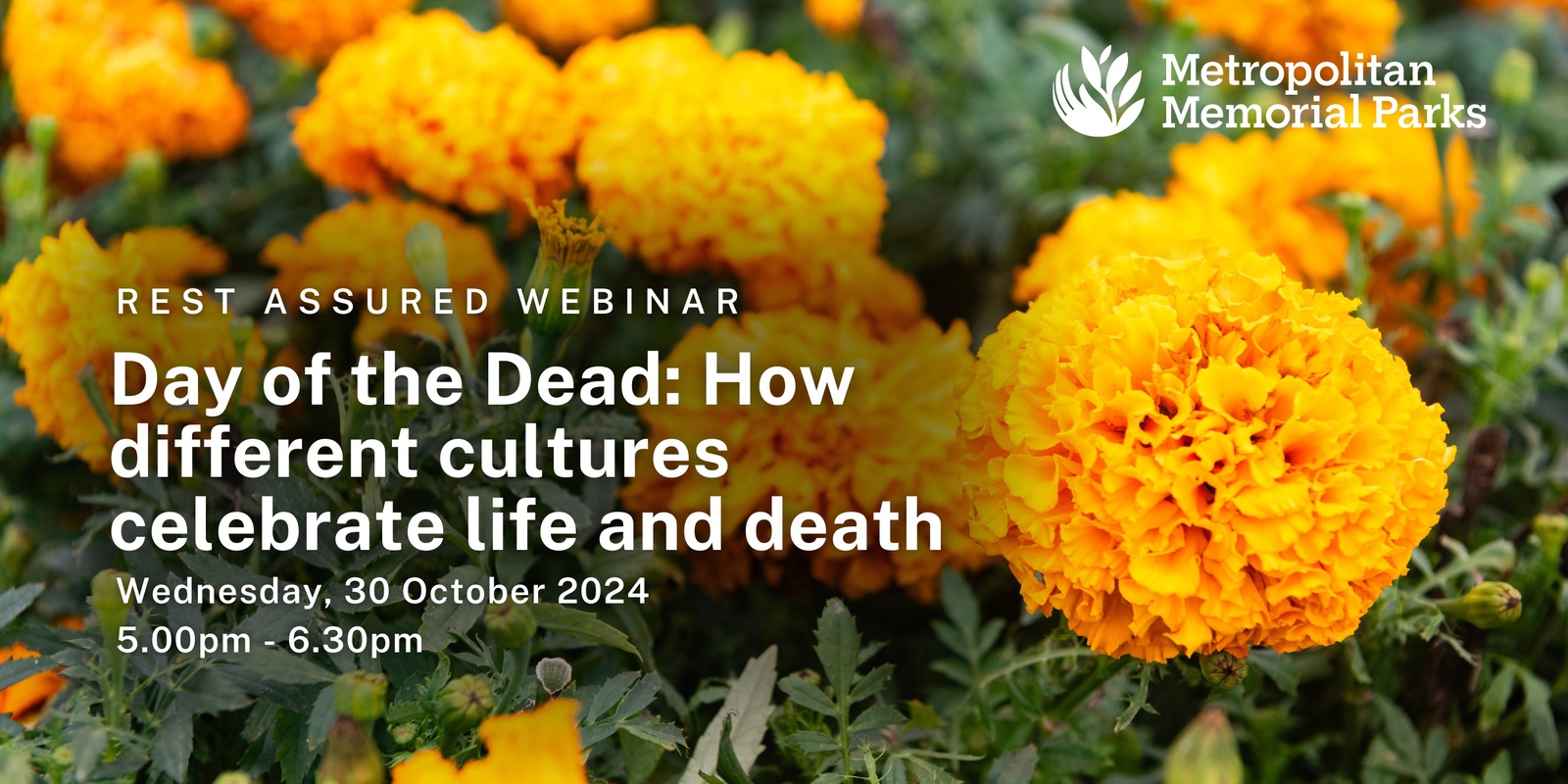 Banner image for Day of the Dead: How different cultures celebrate life and death | Rest Assured Webinar