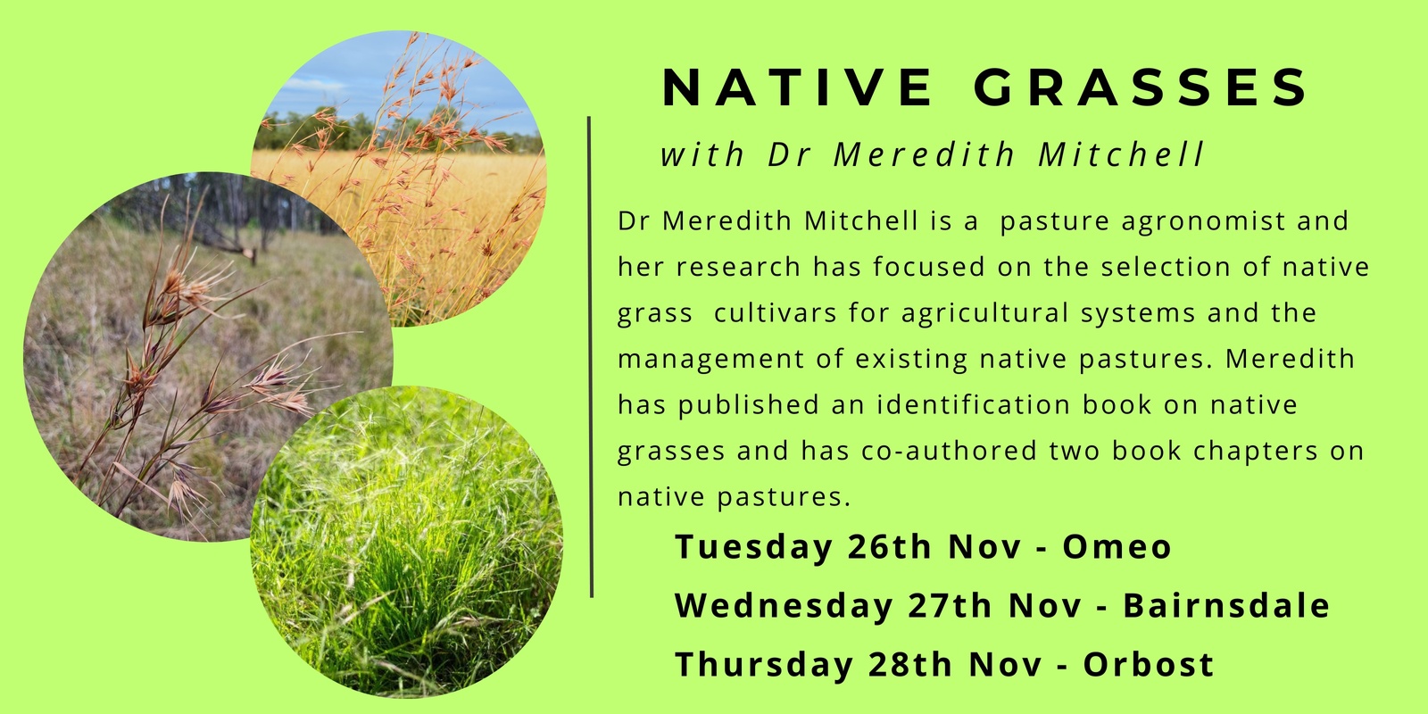 Banner image for Native Grasses with Meredith Mitchell 26th - 28th Nov