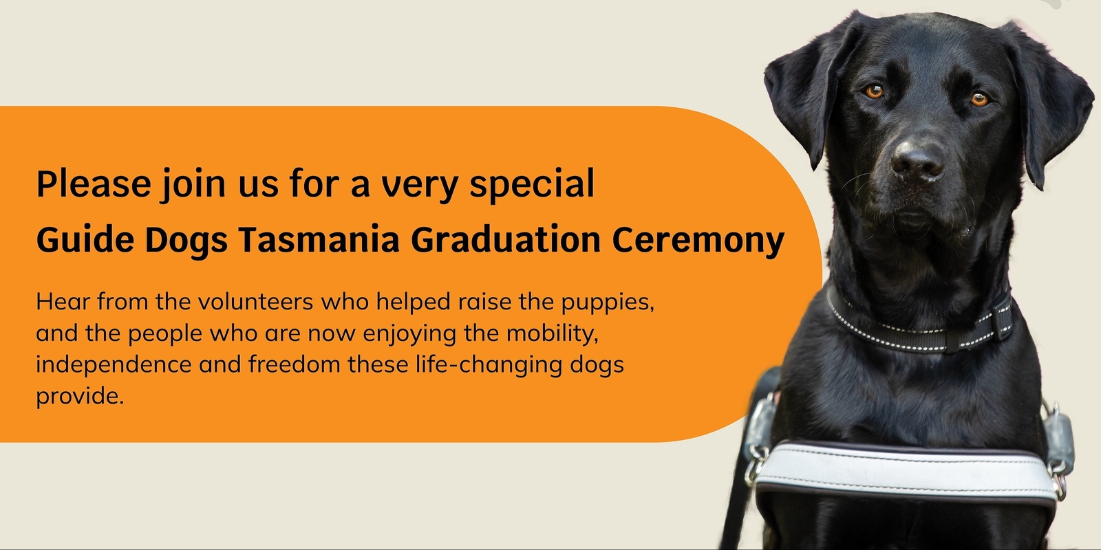 Banner image for Guide Dogs Tasmania Graduation ceremony