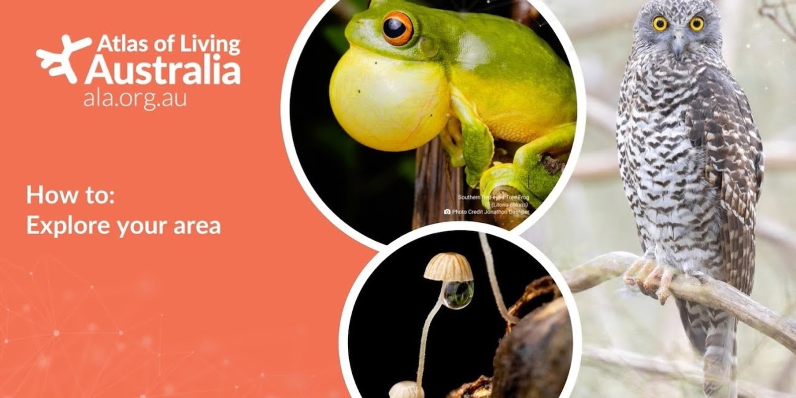 Banner image for Atlas of Living Australia and Community Landcare 