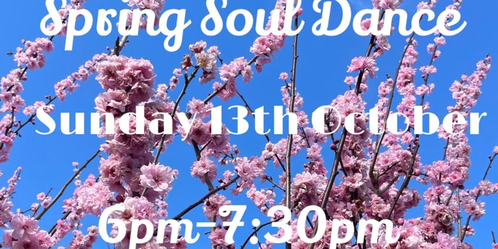 Banner image for Spring Soul Dance