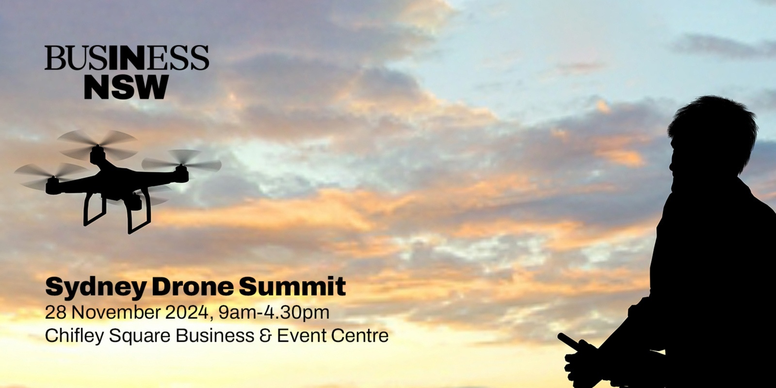 Banner image for Business NSW Sydney Drone Summit 