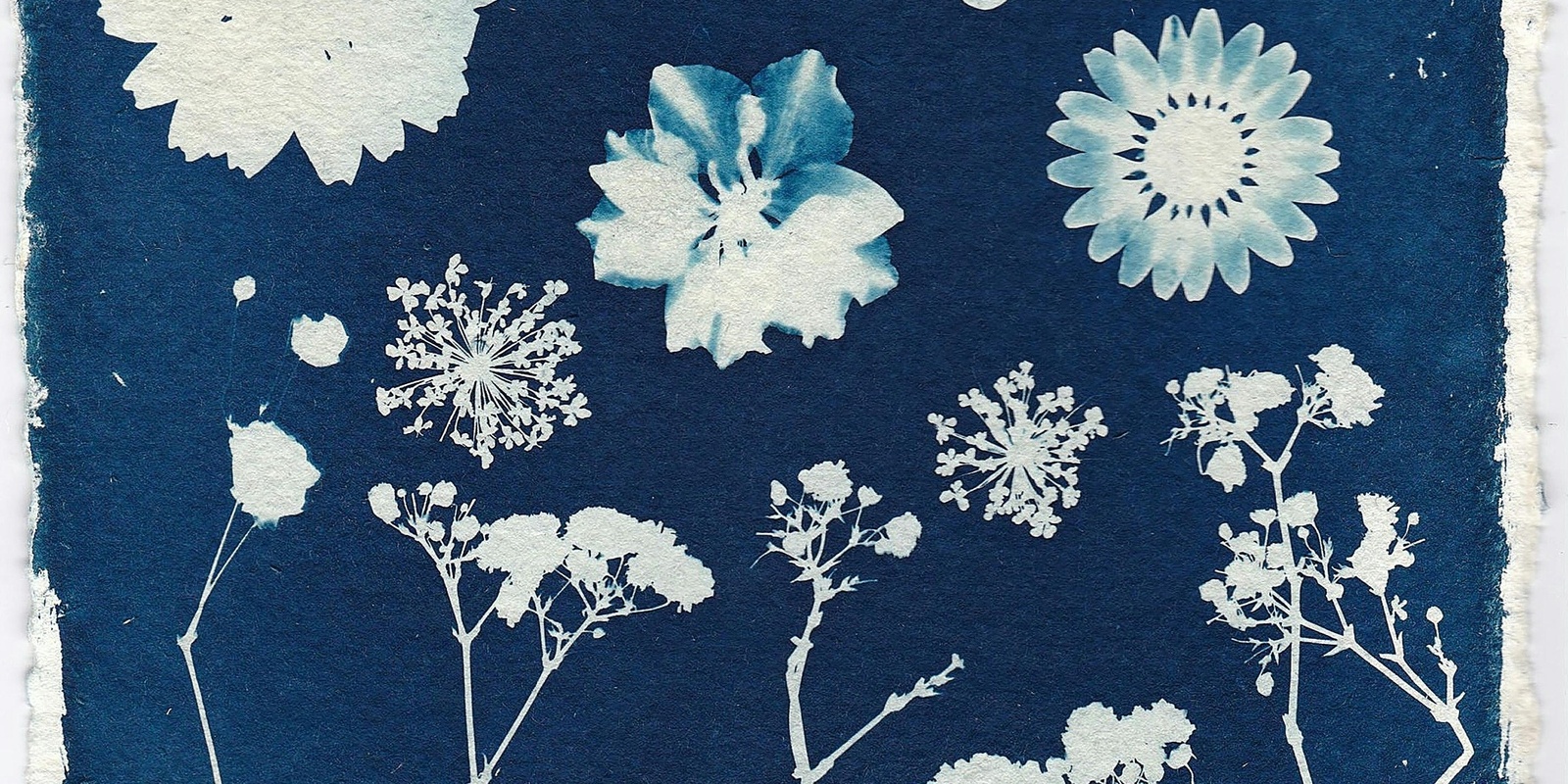 Banner image for Cyanotype Workshop