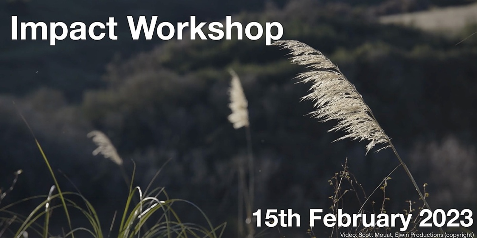 Banner image for Impact Workshop - 15th February  2023 (In-Person)