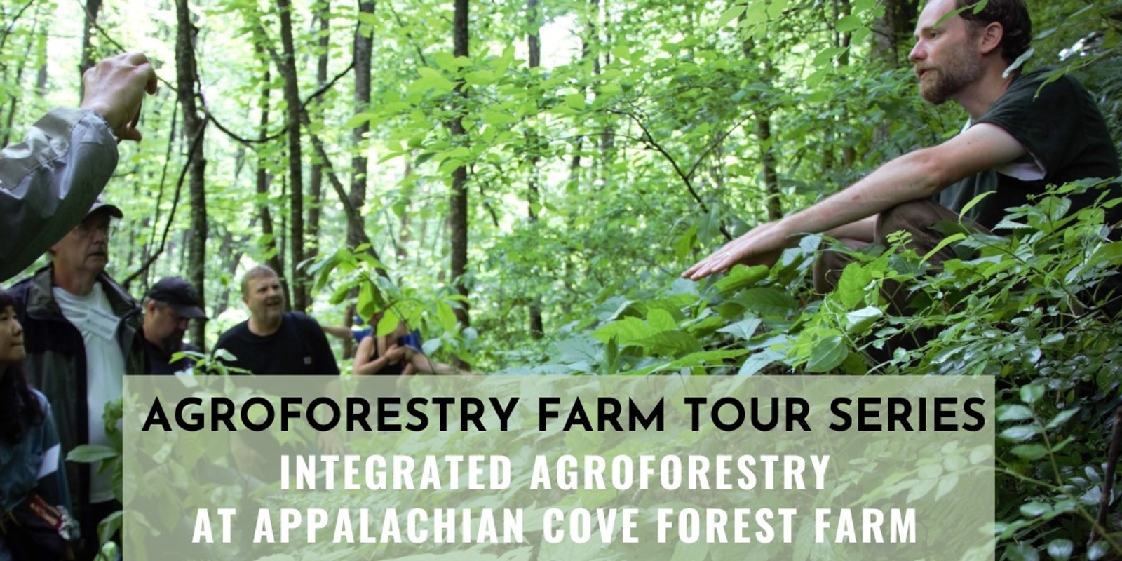 Banner image for Integrated Agroforestry at Appalachian Cove Forest Farm