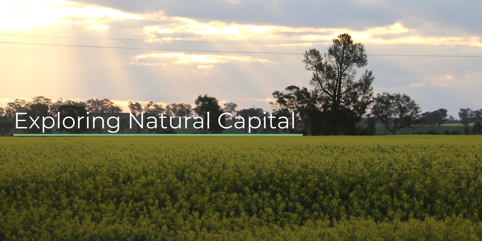 Banner image for Exploring Natural Capital 