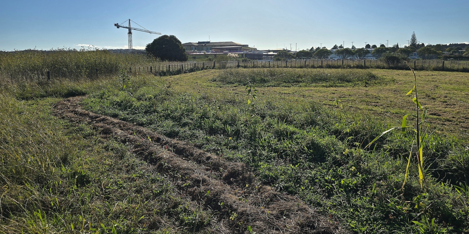 Banner image for Wirihana maara kai tour & seed sowing workshop