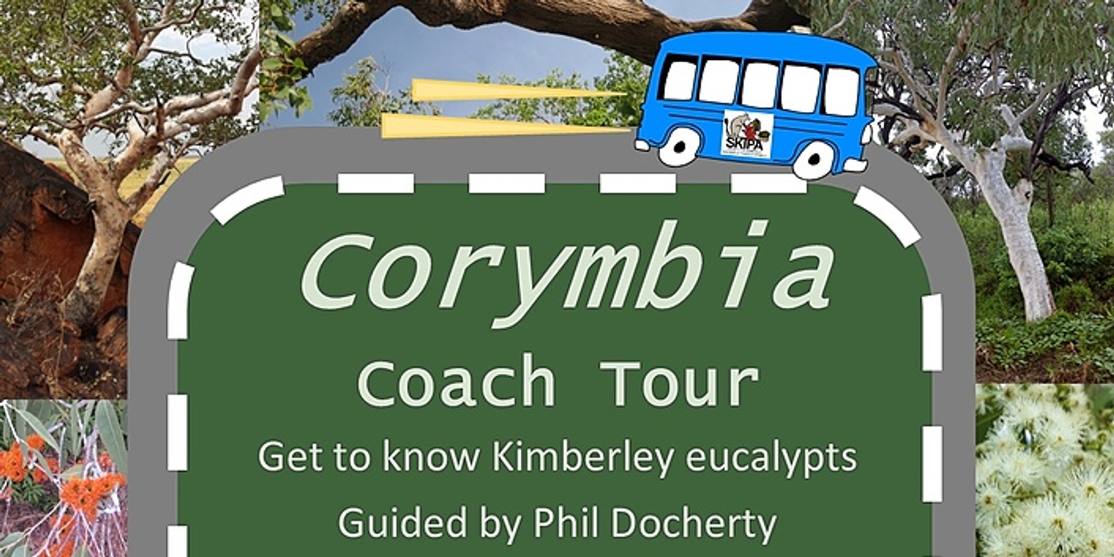Morning Corymbia Coach Tour