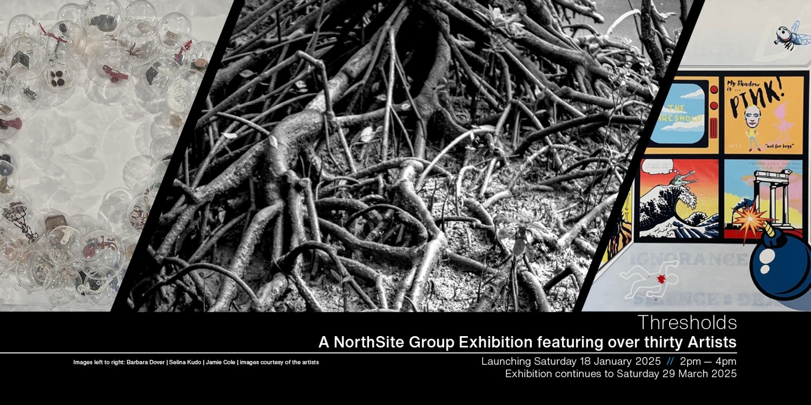 Banner image for Season 1 Exhibitions Opening at NorthSite