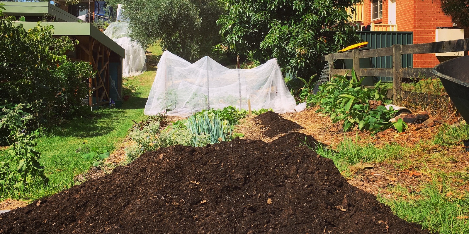 Banner image for Compost basics