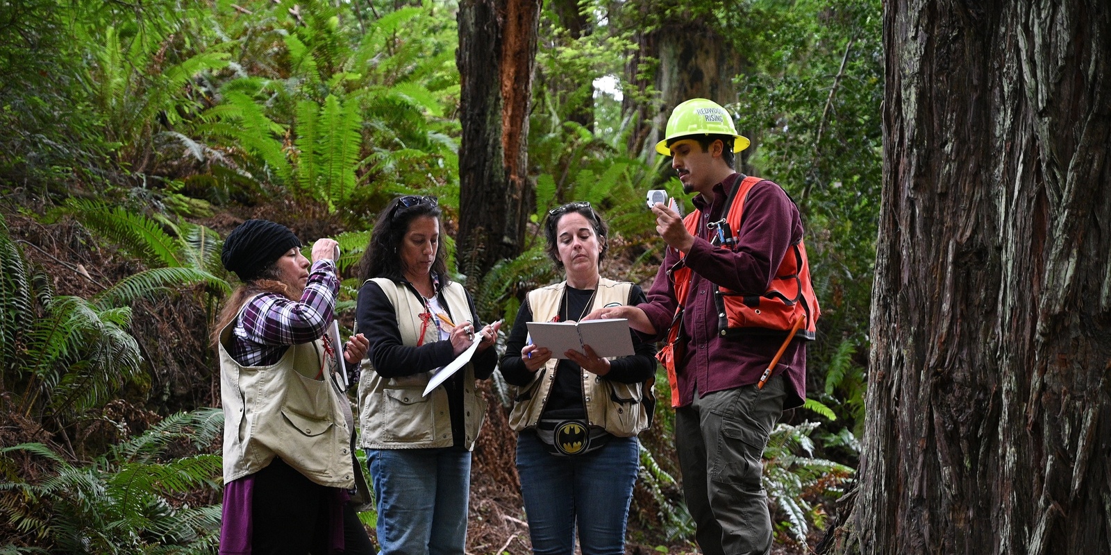 Banner image for Forestry Institute for Teachers | Summer 2025