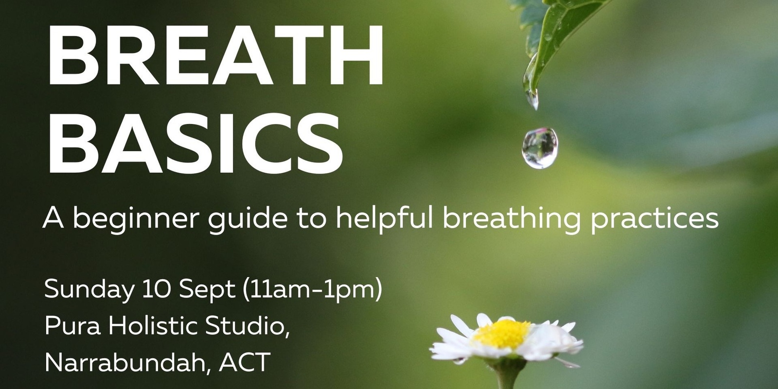 BREATH BASICS: A beginner guide to helpful breathing practices (at Pura ...