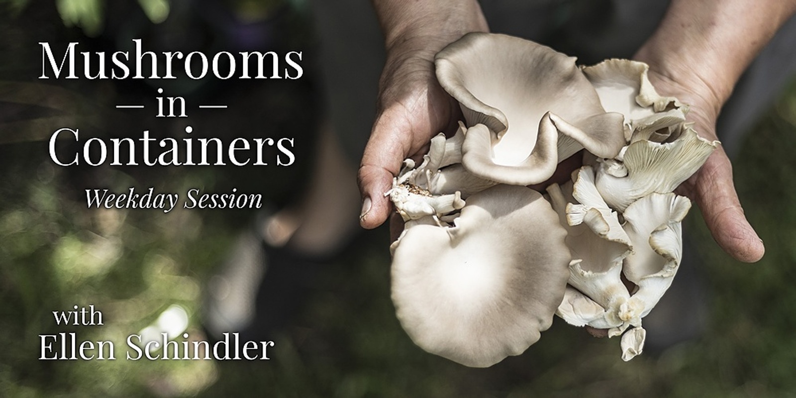 Banner image for Mushrooms in Containers (Wed 12 Jan)