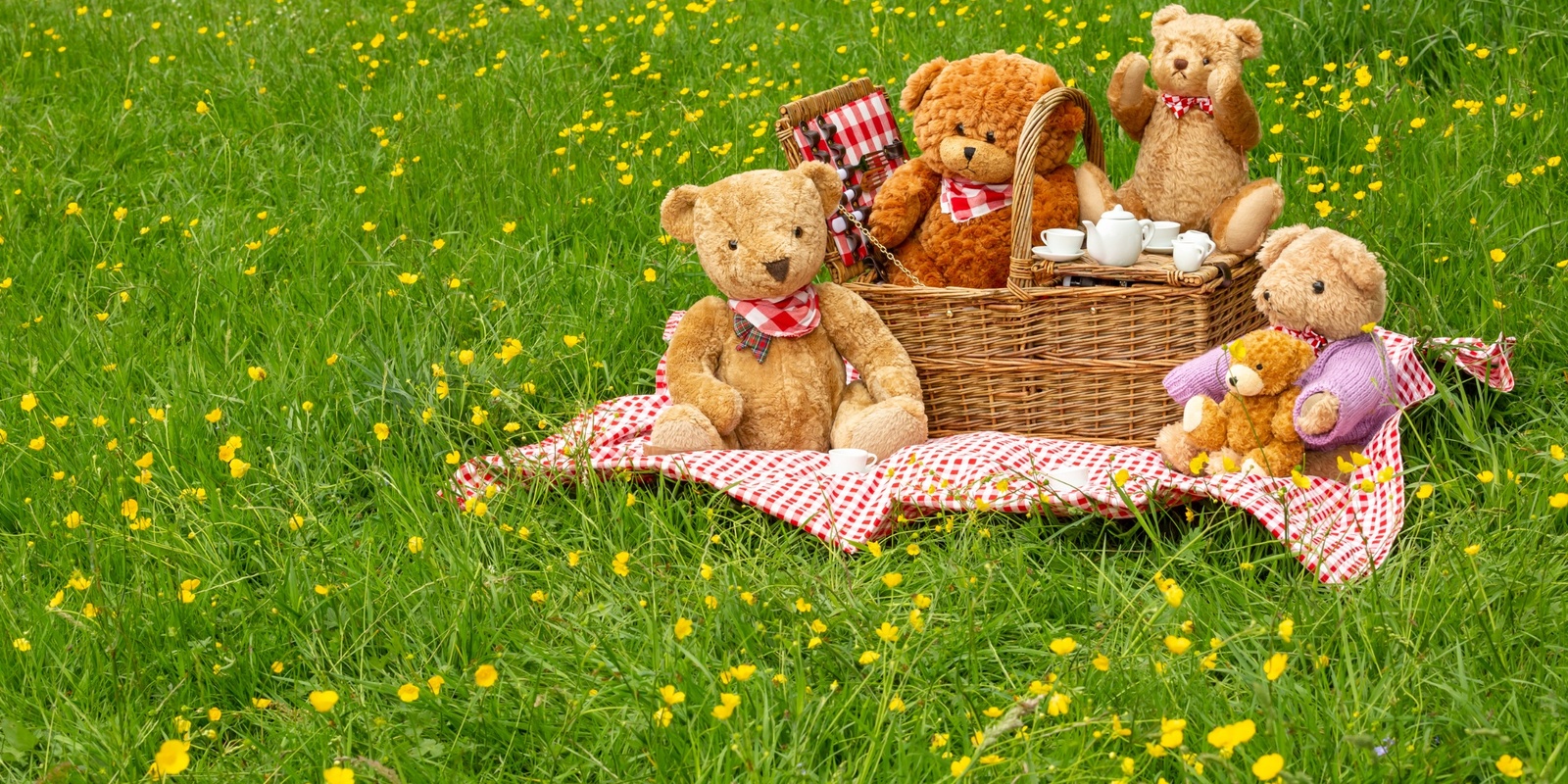 Teddy Bears Sensory Play Picnic | Humanitix