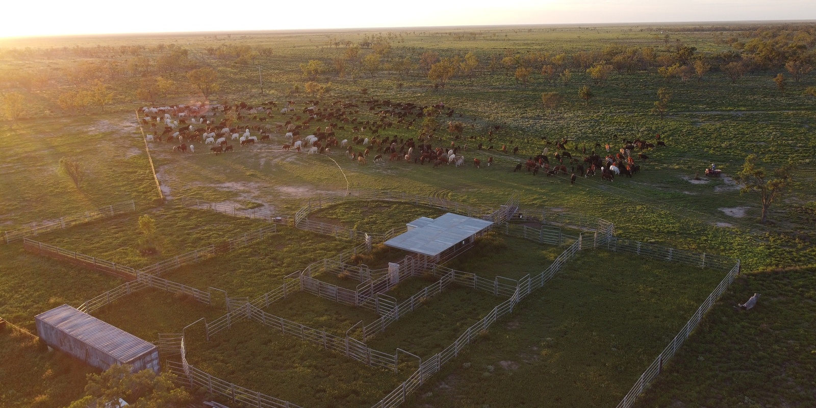 Banner image for Bokhara Plains Field Day