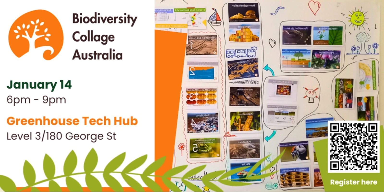 Banner image for Biodiversity Collage Sydney - January