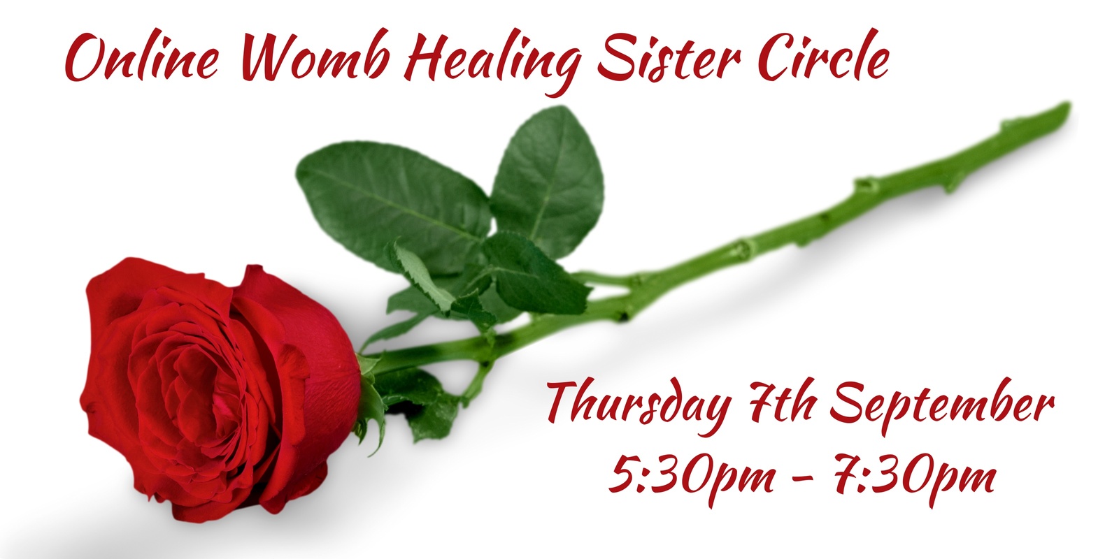 Banner image for Online Womb Healing Sister Circle